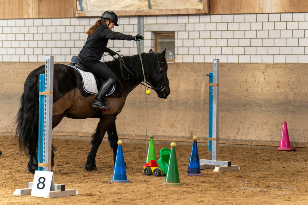 ZKV Gymkhana Langenthal - Galerie - Pferdefreunde Langenthal